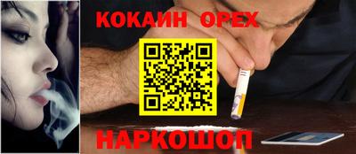 индика Ирбит