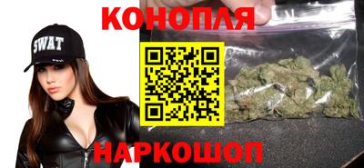 индика Ирбит
