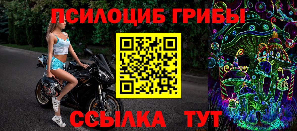 Кызыл  Галлюциногенные грибы Psilocybe  Вход с VPN 