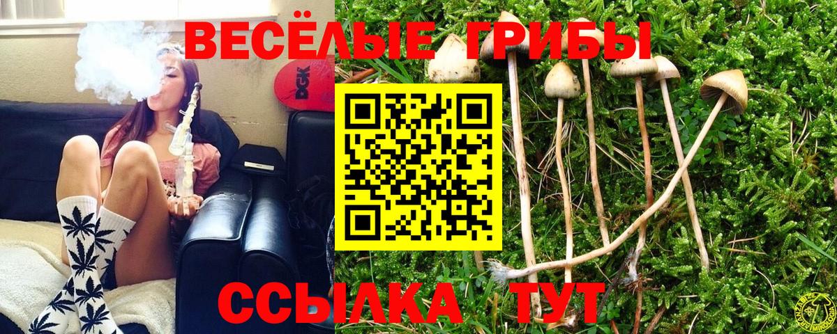 Псилоцибиновые грибы Magic Shrooms Кызыл